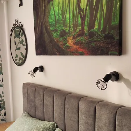 Apartment студио Forest, к-с нестинарка