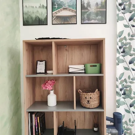Apartment студио Forest, к-с нестинарка *