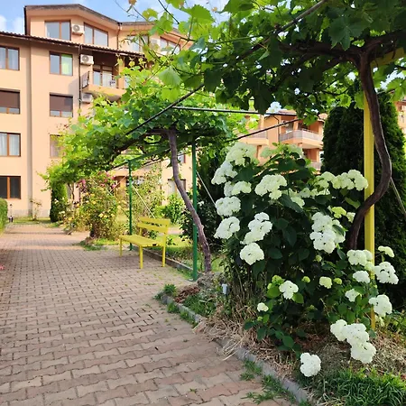 студио Forest, к-с нестинарка Apartment *