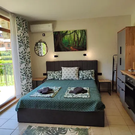 Apartment студио Forest, к-с нестинарка *