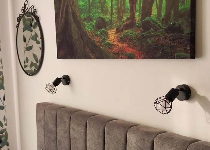 Apartmán студио Forest, к-с нестинарка